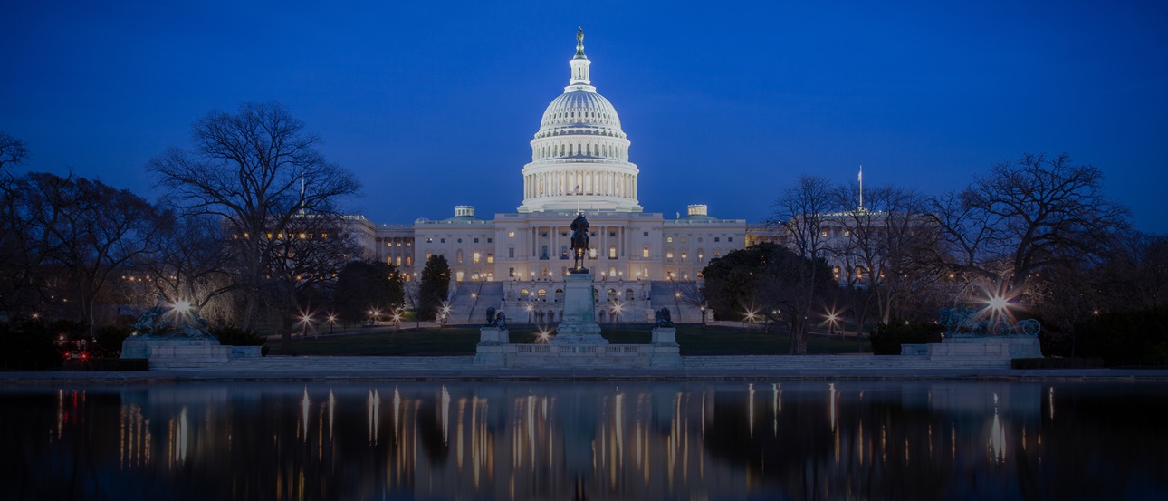 View of the Capitol Building in Washington, DC